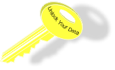 Unlock Your Data with Custom Business Software